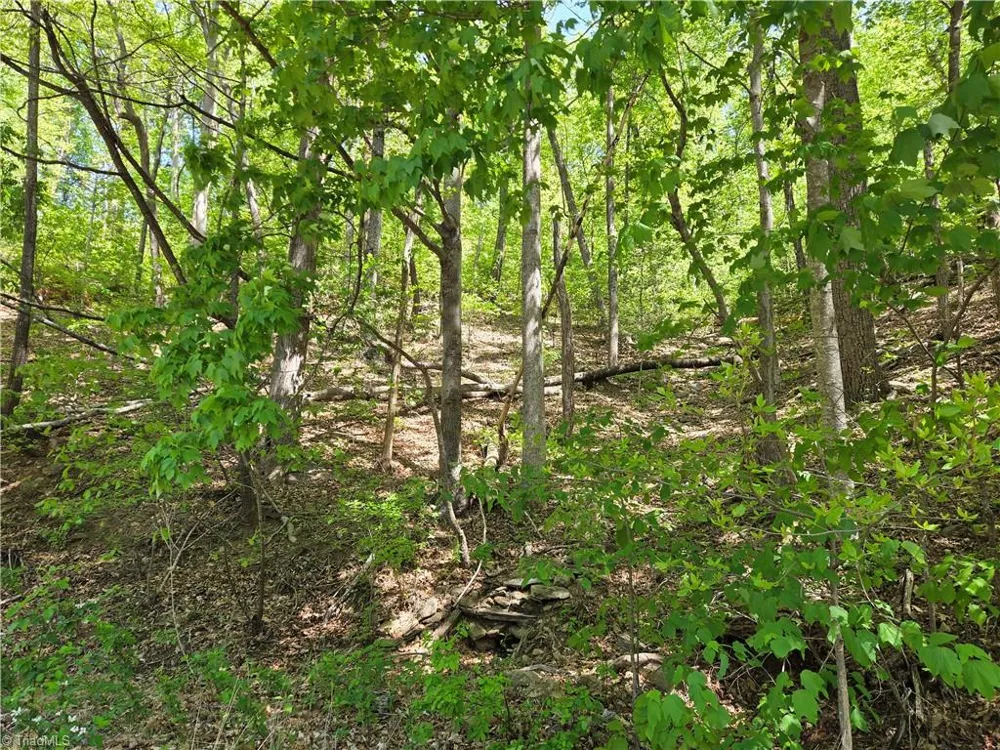 TBD Price Road Moravian Falls, NC 28654
