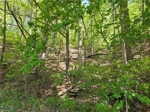 TBD Price Road