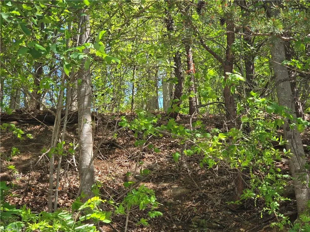 TBD Price Road Moravian Falls, NC 28654