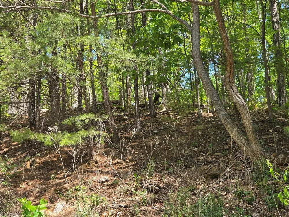 TBD Price Road Moravian Falls, NC 28654