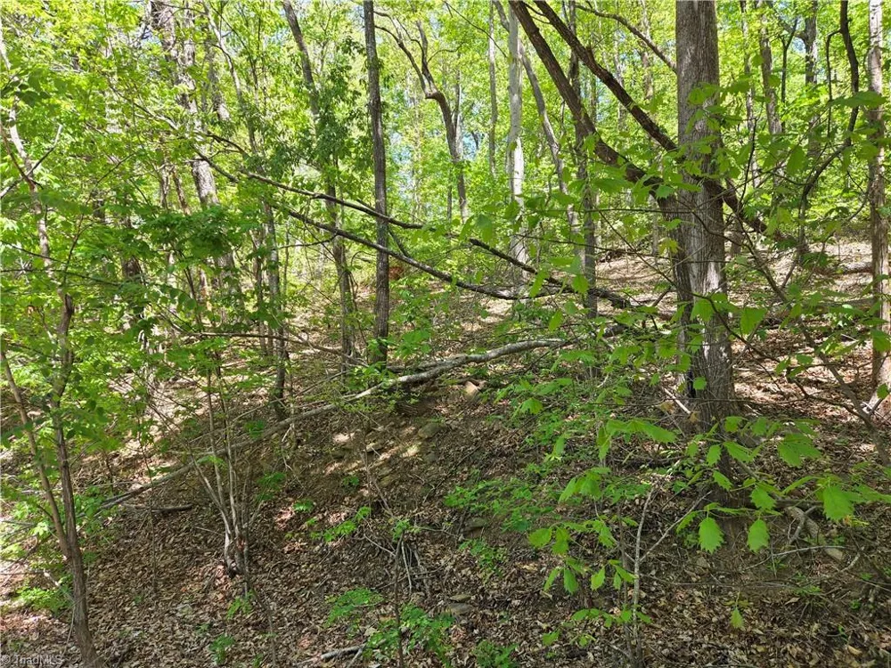 TBD Price Road Moravian Falls, NC 28654