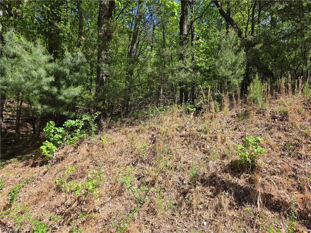 TBD Price Road Moravian Falls, NC 28654