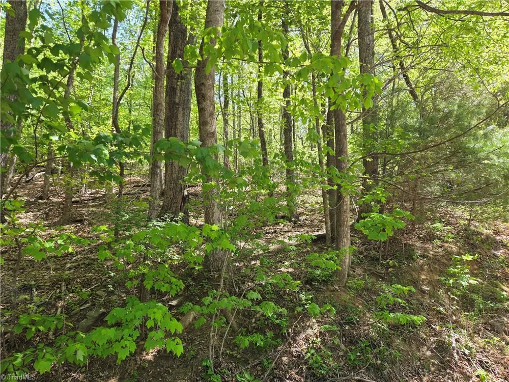 TBD Price Road Moravian Falls, NC 28654