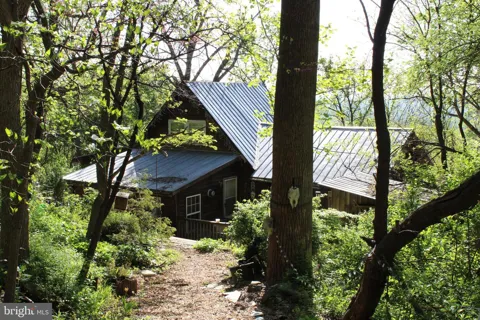 446 SPRING DRIVE
