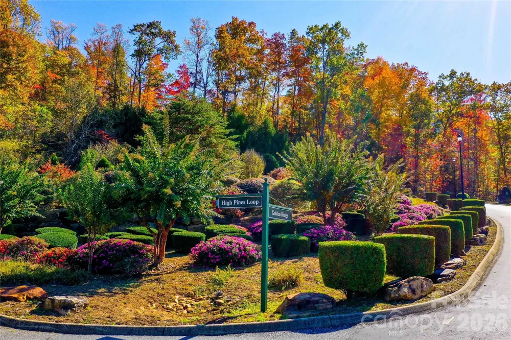 0 High Pines Loop #157 Lake Lure, NC 28746
