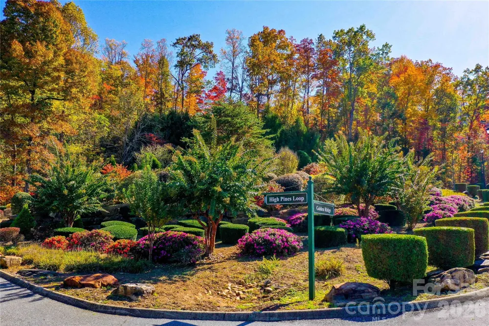 0 High Pines Loop #157 Lake Lure, NC 28746