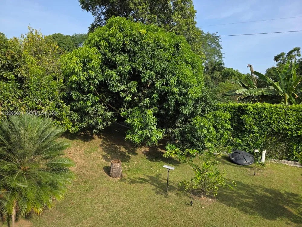 Finca #175 