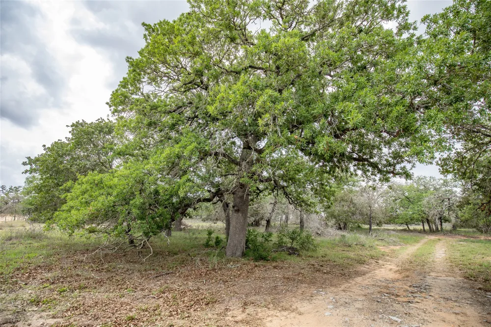 132 Roemer Lane W Floresville, TX 78114