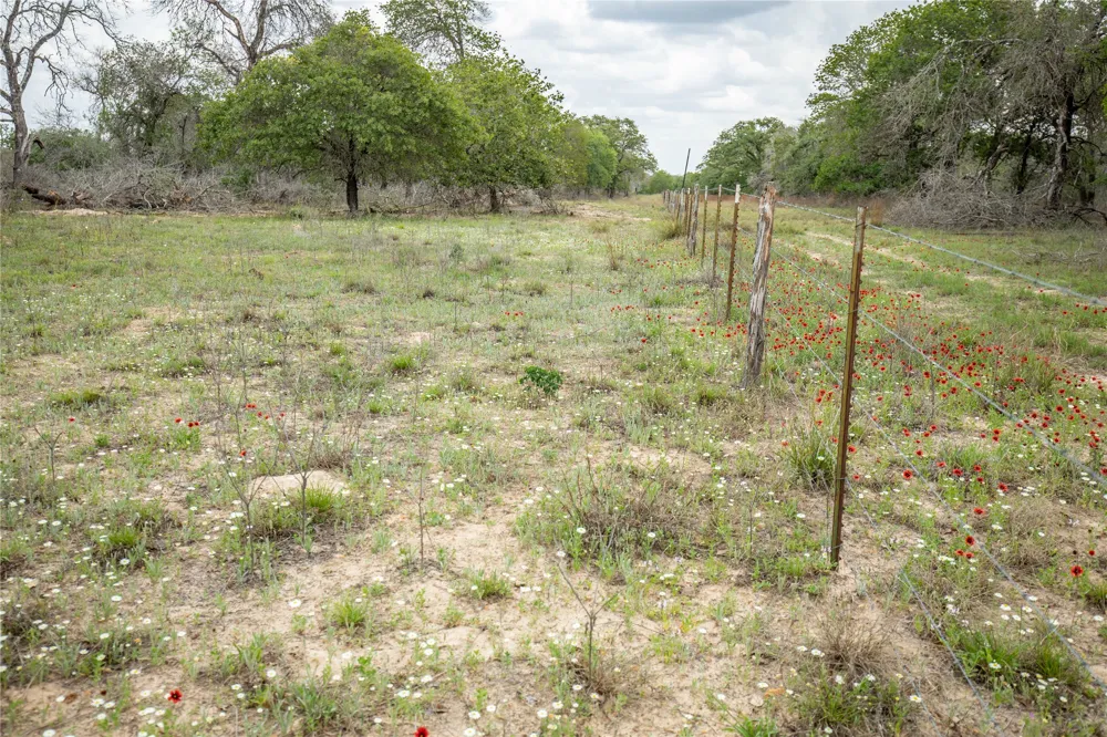 132 Roemer Lane W Floresville, TX 78114