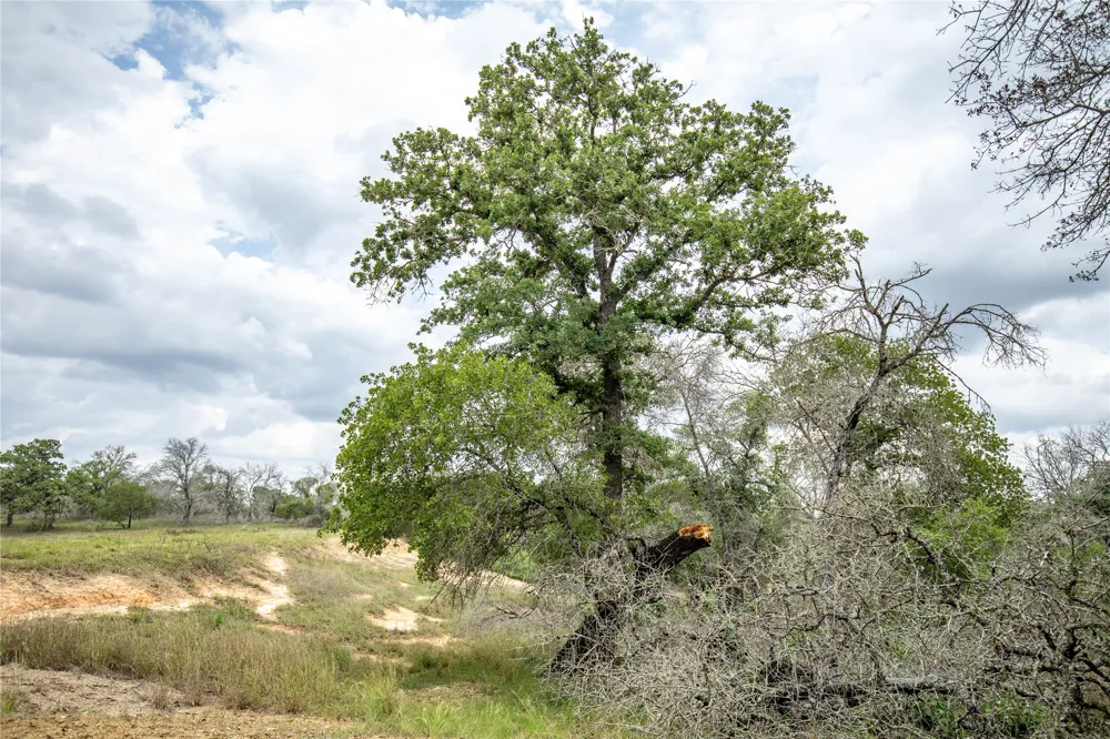 132 Roemer Lane W Floresville, TX 78114