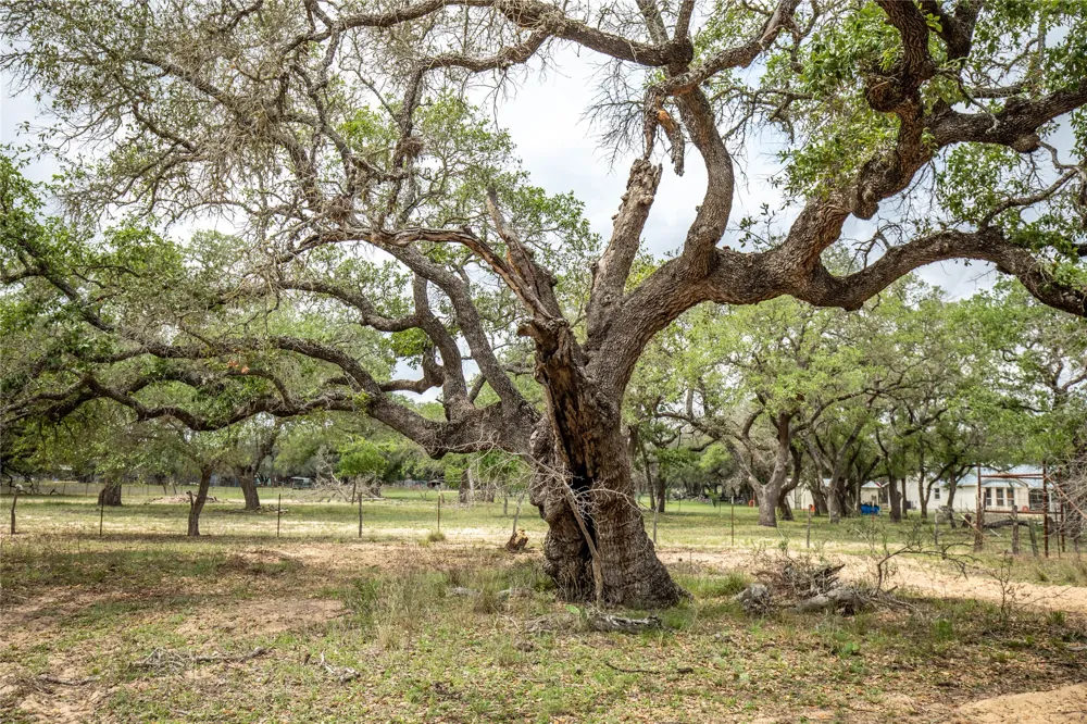 132 Roemer Lane W Floresville, TX 78114