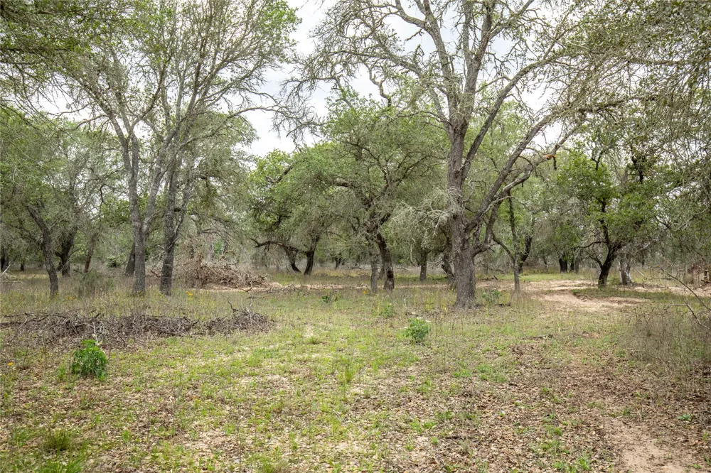 132 Roemer Lane W Floresville, TX 78114