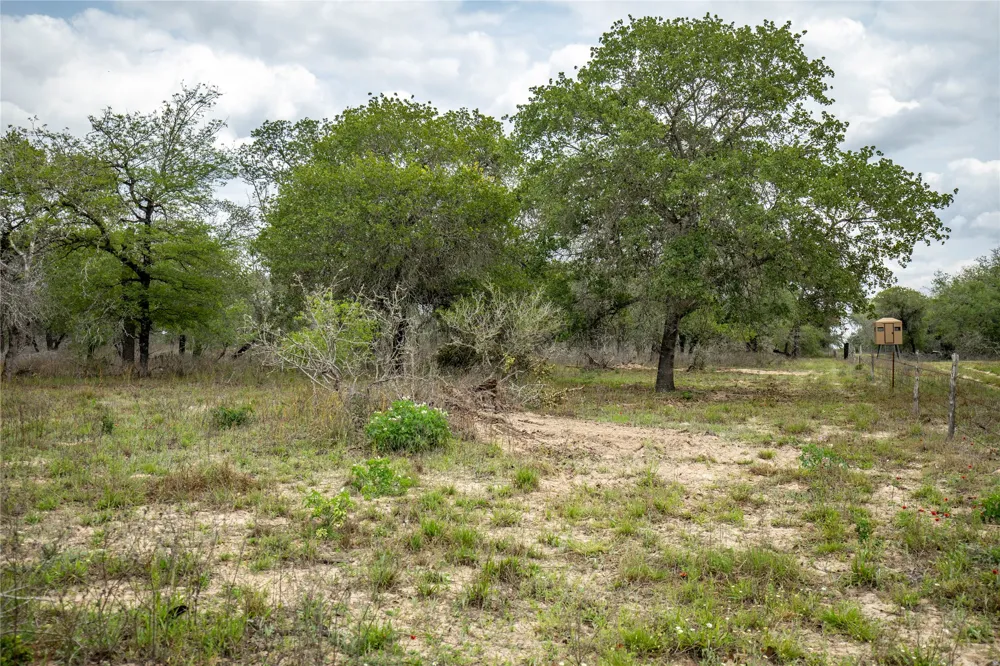 132 Roemer Lane W Floresville, TX 78114