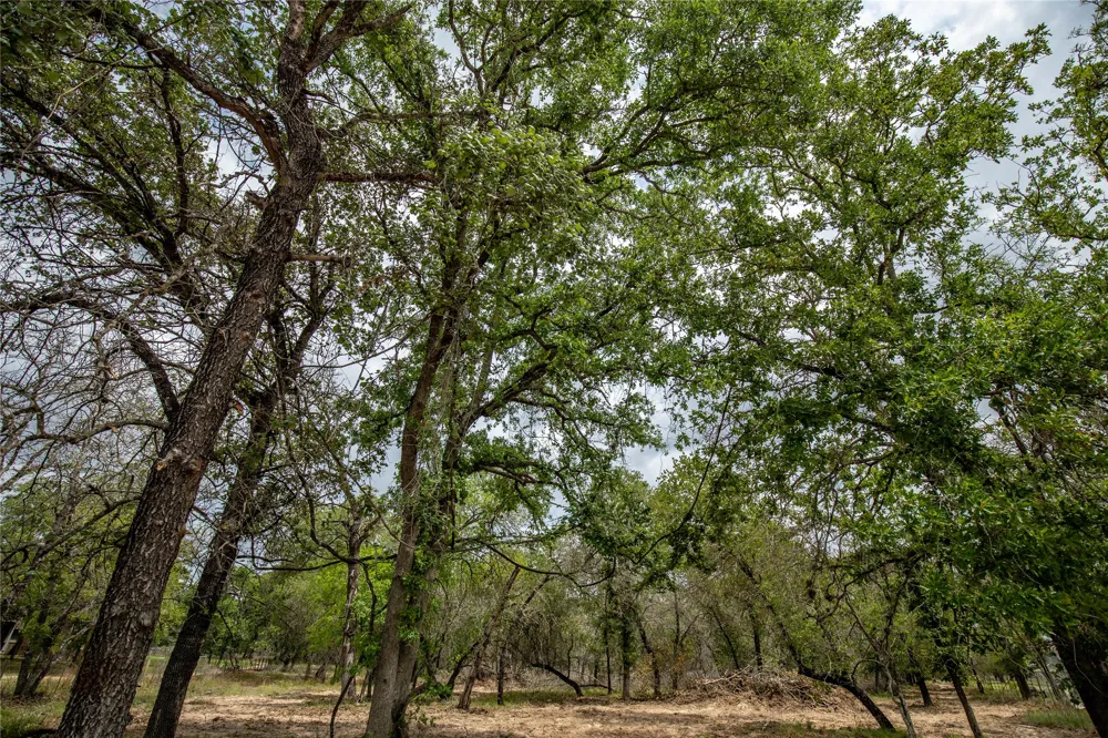 132 Roemer Lane W Floresville, TX 78114