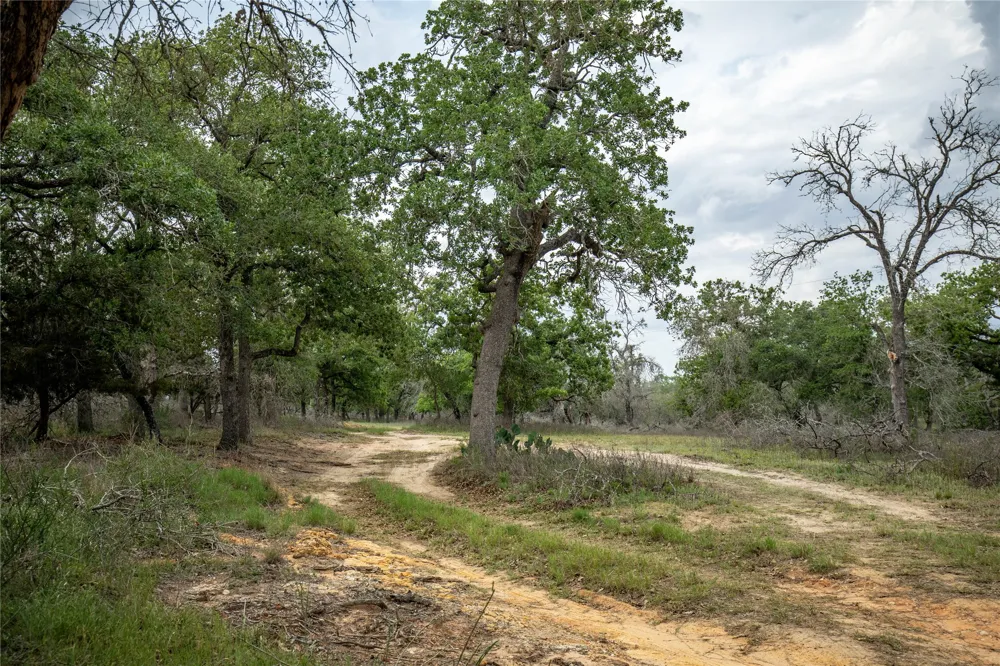132 Roemer Lane W Floresville, TX 78114