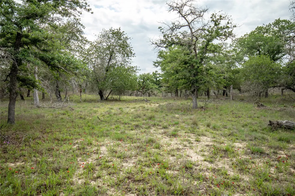 132 Roemer Lane W Floresville, TX 78114