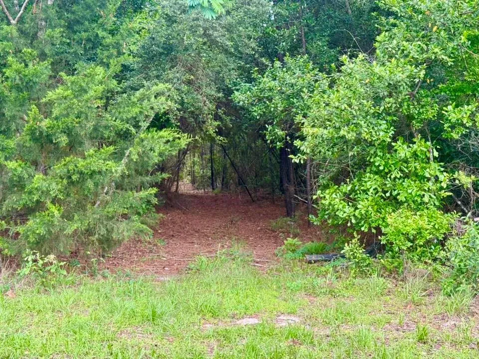 16 Co Rd 1375 Warren, TX 77664