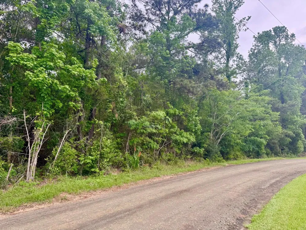 16 Co Rd 1375 Warren, TX 77664