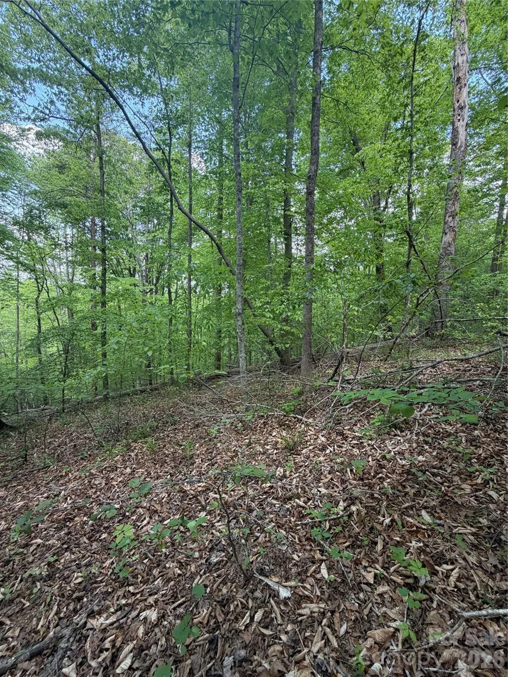 0 Overstone Drive #284 Rutherfordton, NC 28139
