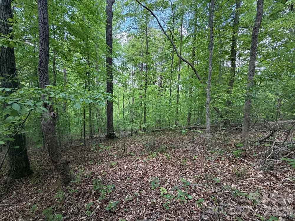 0 Overstone Drive #284 Rutherfordton, NC 28139