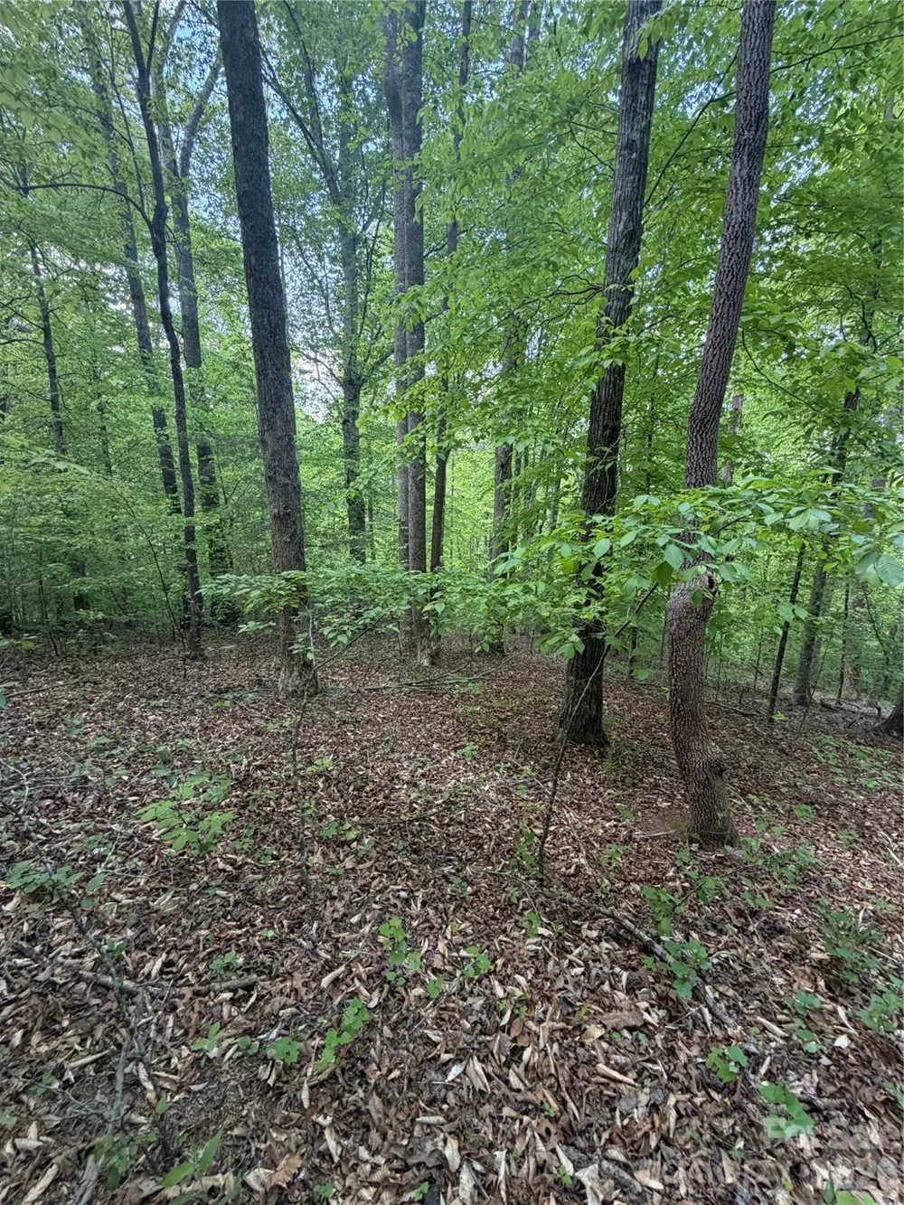 0 Overstone Drive #284 Rutherfordton, NC 28139