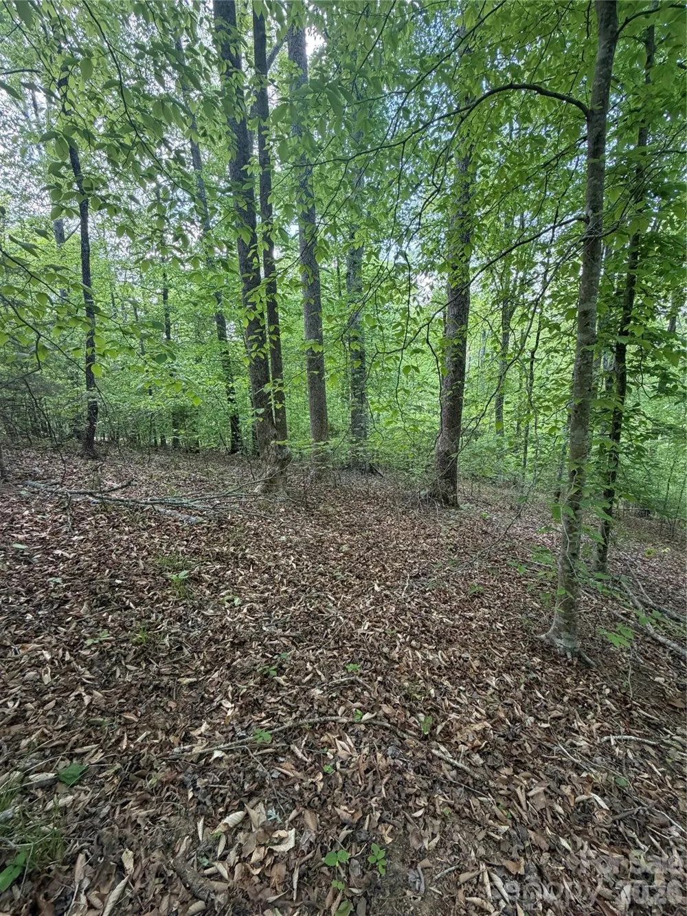 0 Overstone Drive #284 Rutherfordton, NC 28139