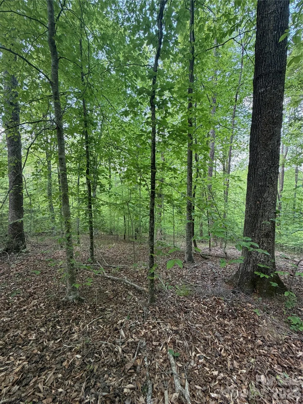 0 Overstone Drive #284 Rutherfordton, NC 28139