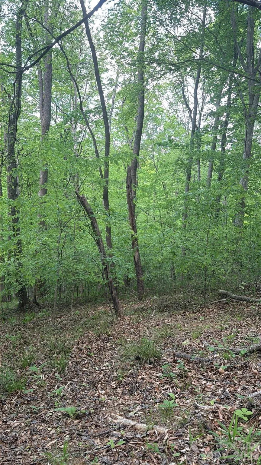 0 Overstone Drive #284 Rutherfordton, NC 28139