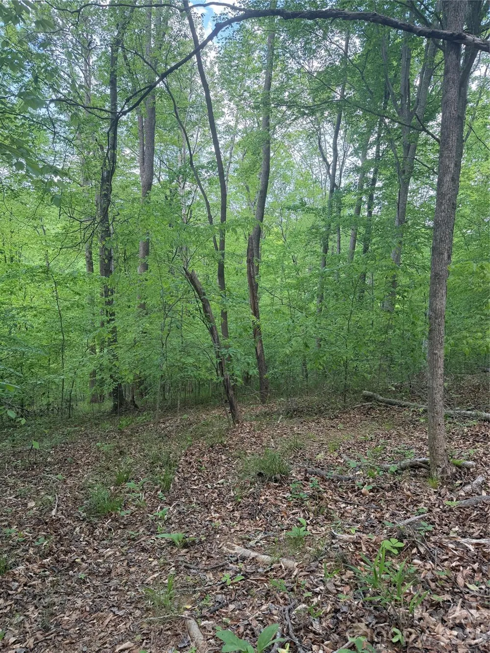0 Overstone Drive #284 Rutherfordton, NC 28139