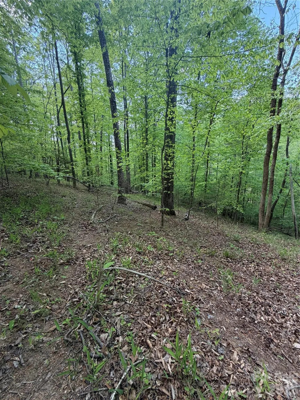 0 Overstone Drive #284 Rutherfordton, NC 28139