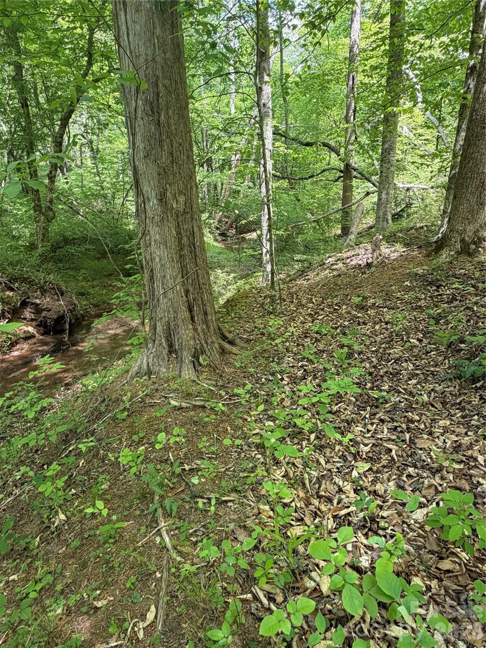 0 Overstone Drive #284 Rutherfordton, NC 28139