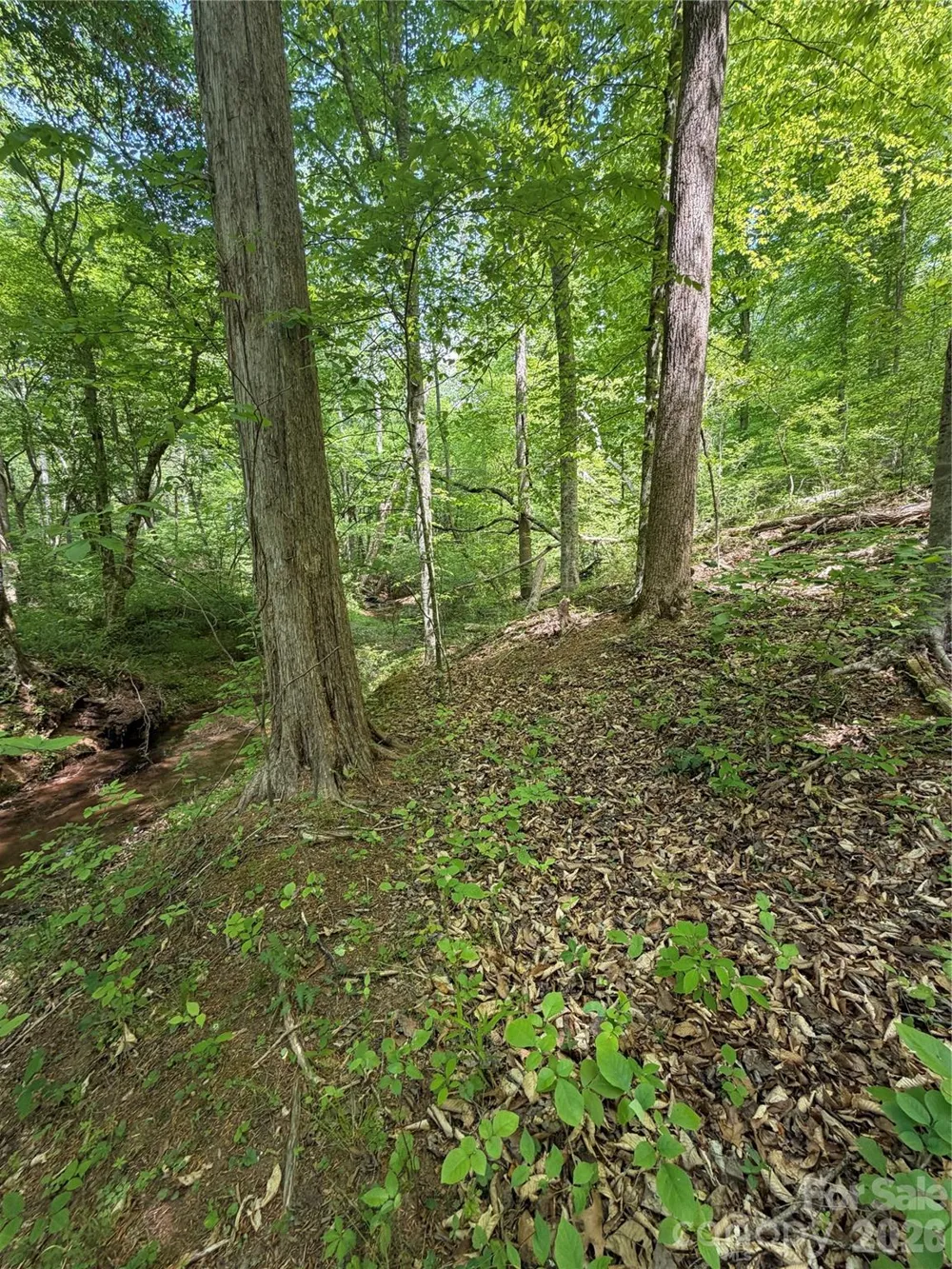 0 Overstone Drive #284 Rutherfordton, NC 28139