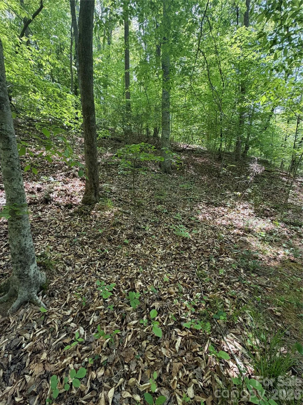 0 Overstone Drive #284 Rutherfordton, NC 28139