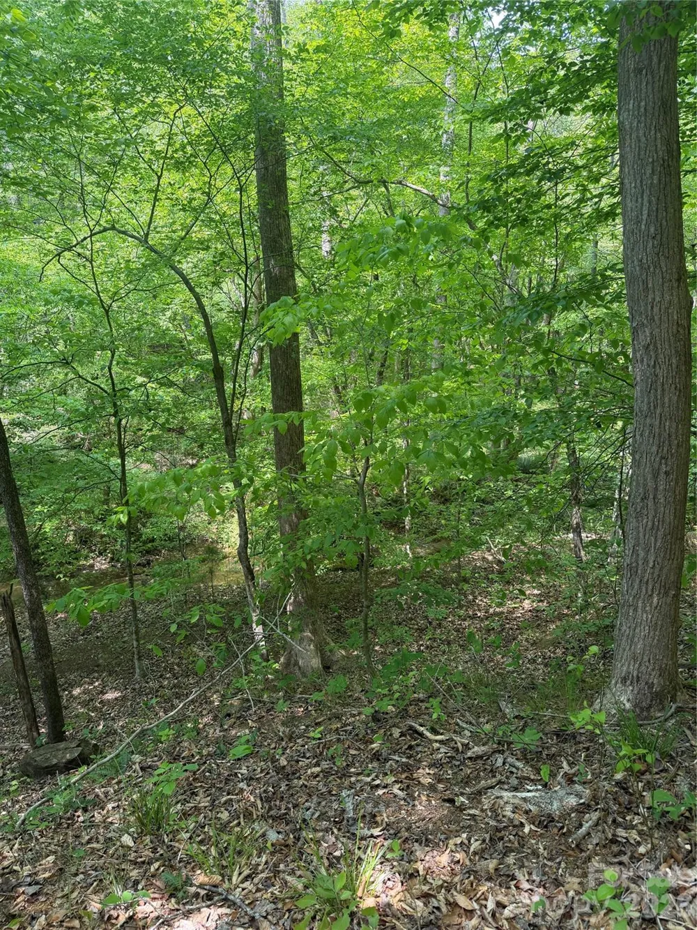 0 Overstone Drive #284 Rutherfordton, NC 28139