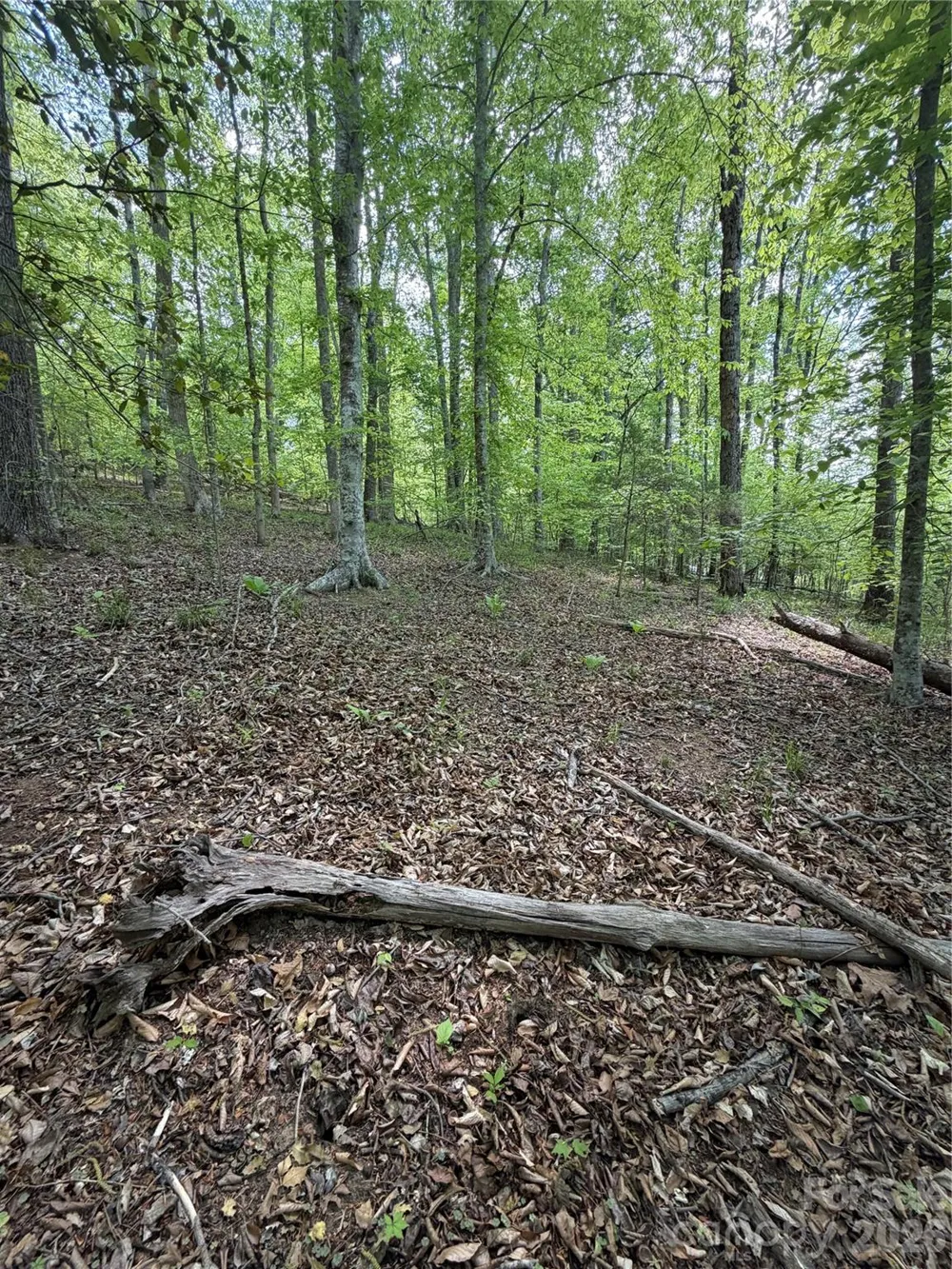 0 Overstone Drive #284 Rutherfordton, NC 28139