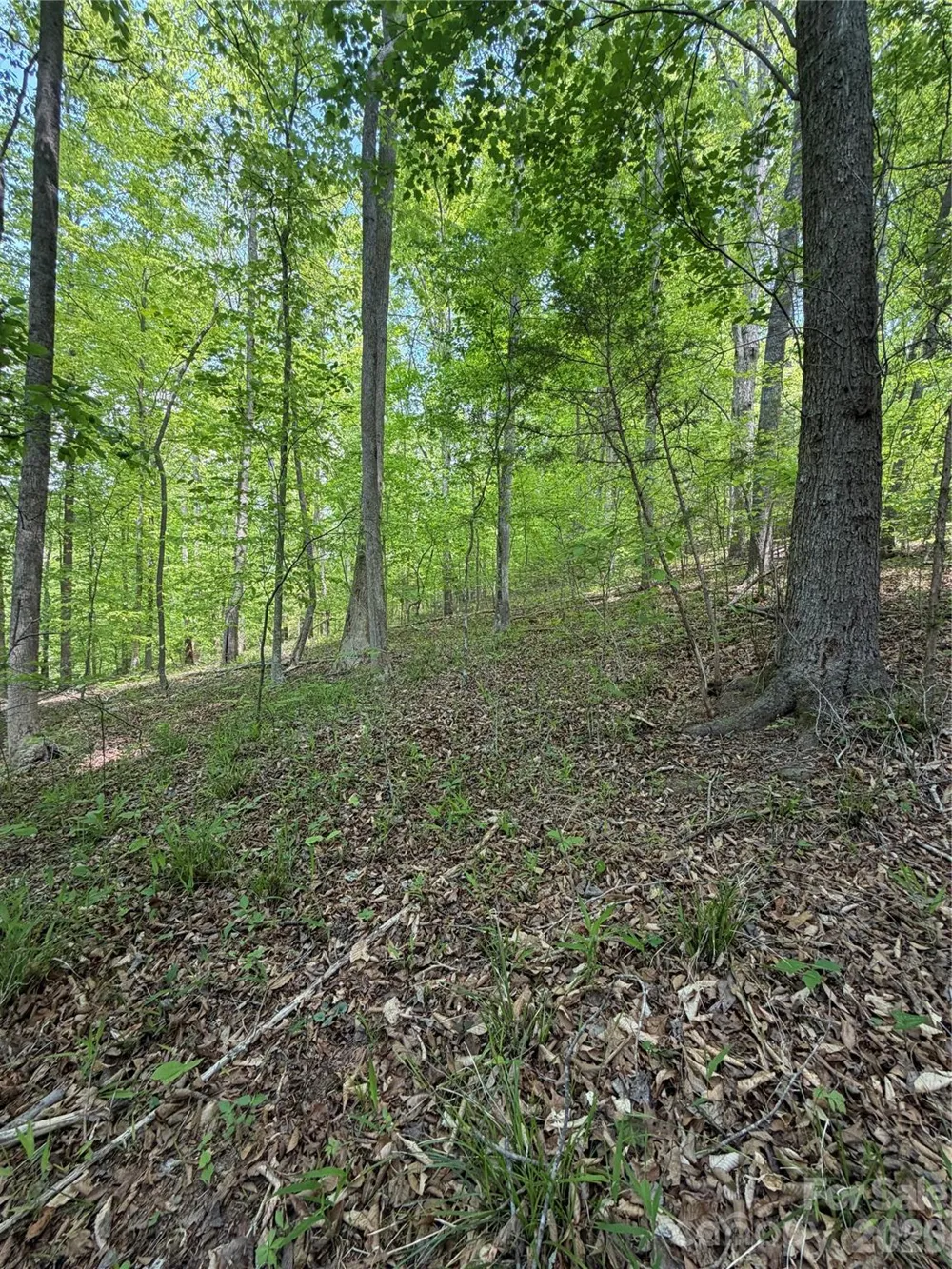 0 Overstone Drive #284 Rutherfordton, NC 28139