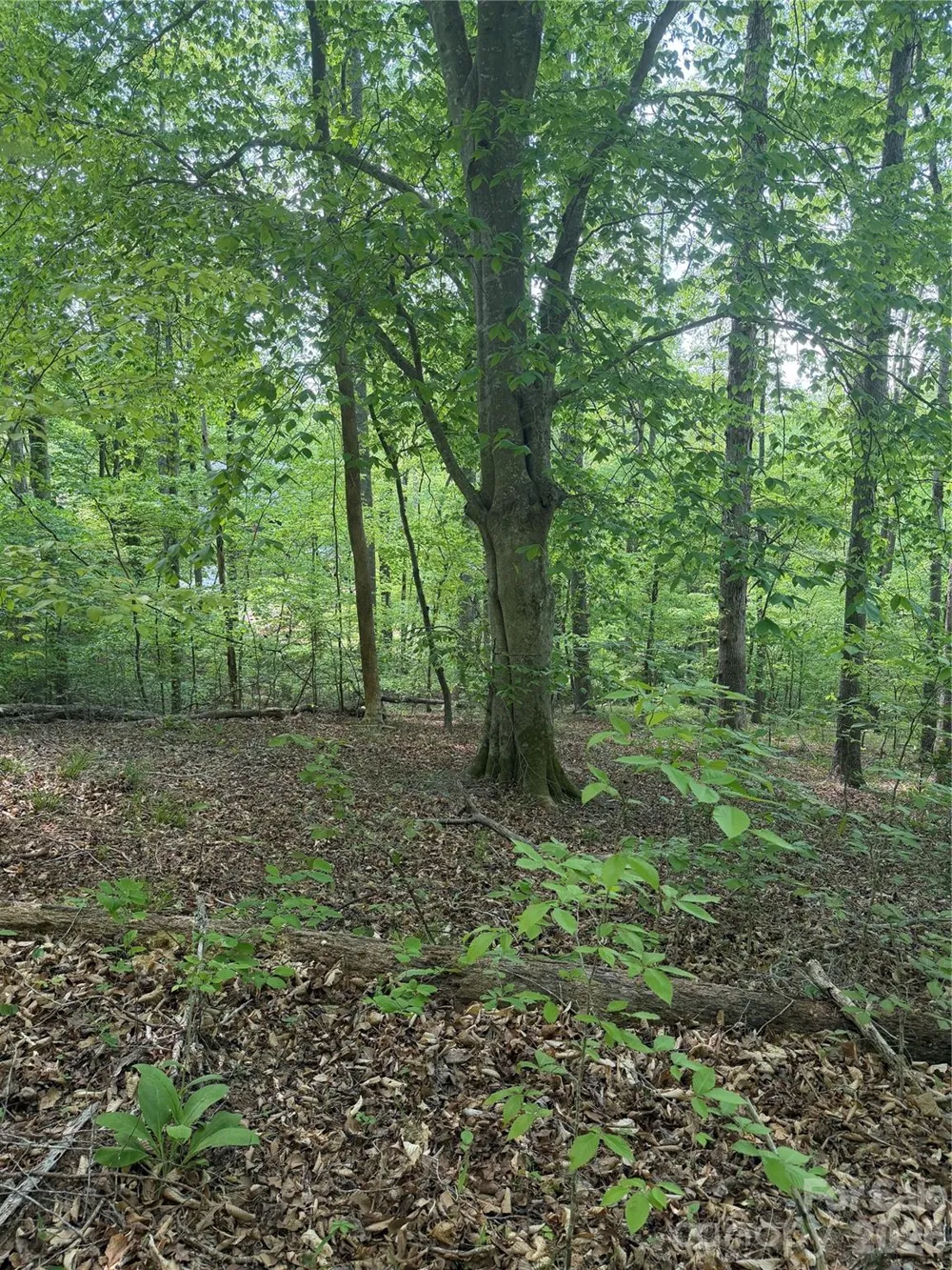 0 Overstone Drive #284 Rutherfordton, NC 28139