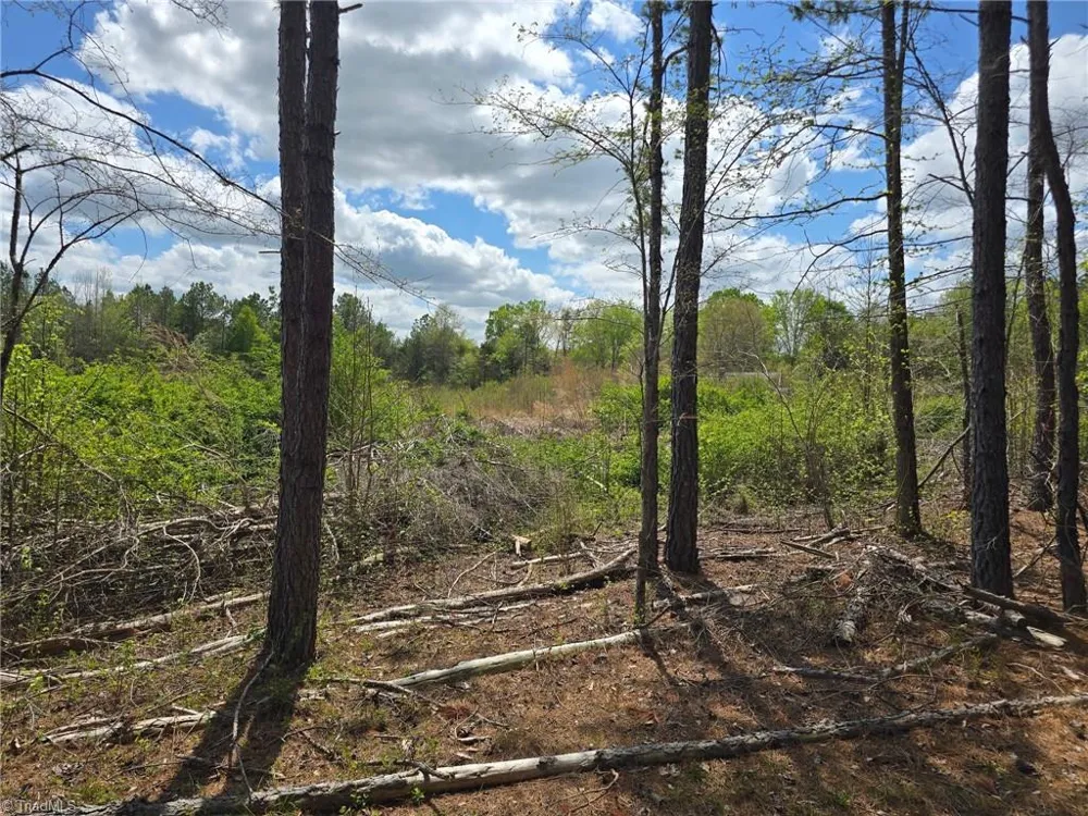 0 Riverside Road Seagrove, NC 27341