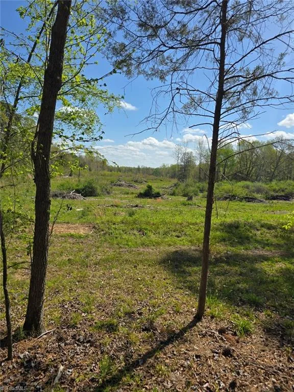 0 Riverside Road Seagrove, NC 27341