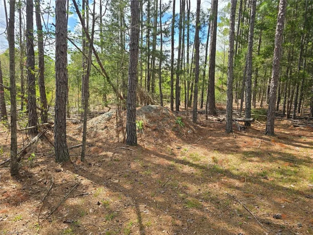 0 Riverside Road Seagrove, NC 27341