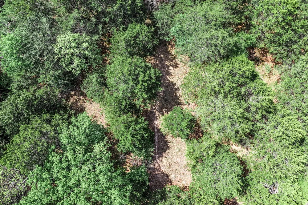 FM 2101 Quinlan, TX 75474