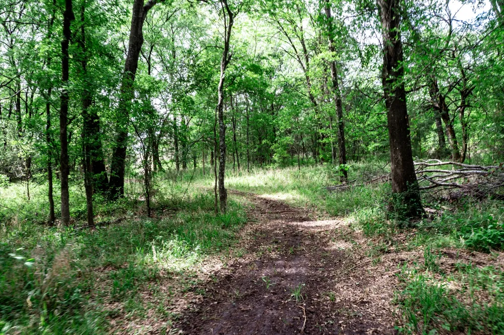 FM 2101 Quinlan, TX 75474