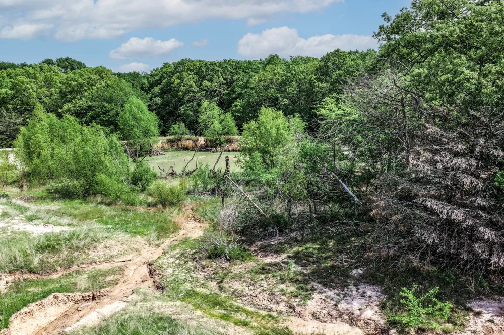 FM 2101 Quinlan, TX 75474