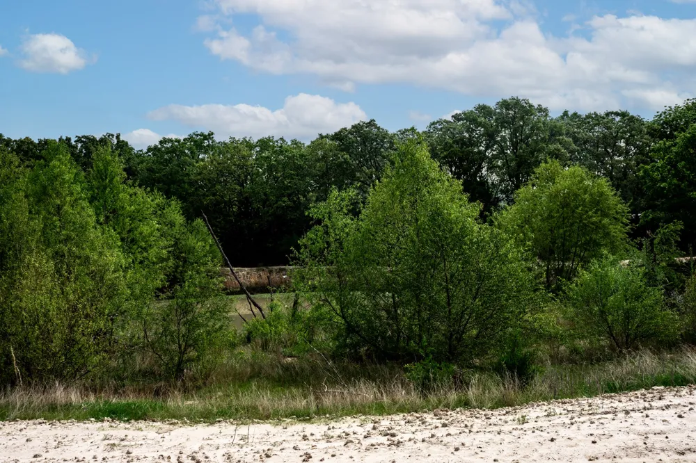 FM 2101 Quinlan, TX 75474