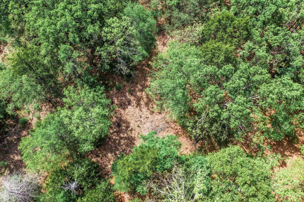 FM 2101 Quinlan, TX 75474