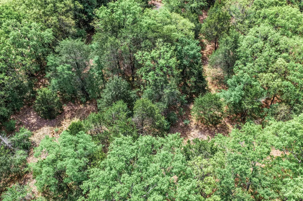 FM 2101 Quinlan, TX 75474