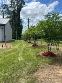 9833 HIGHWAY 175 Grand Cane, LA 71032