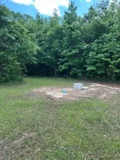 9833 HIGHWAY 175 Grand Cane, LA 71032