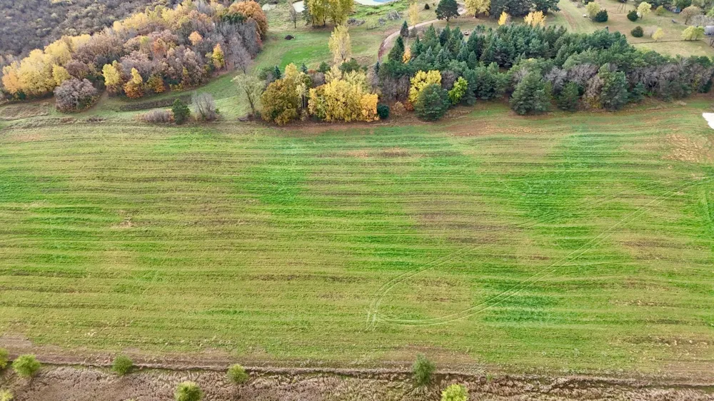 TBD County Road 136 Saint Cloud, MN 56301