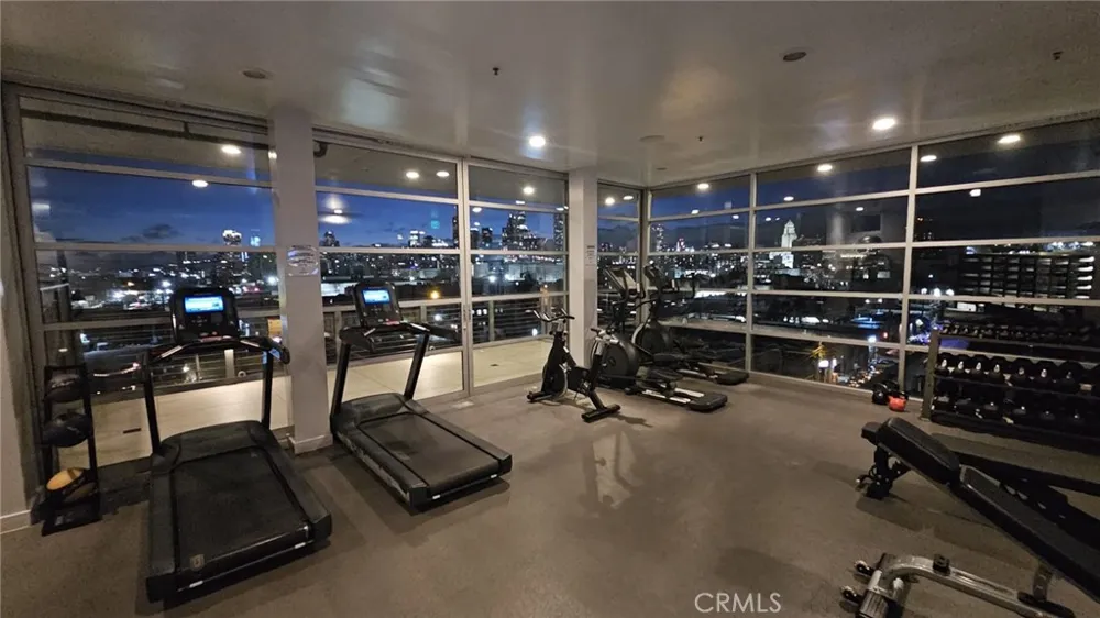 510 S Hewitt Street #515 Los Angeles, CA 90013